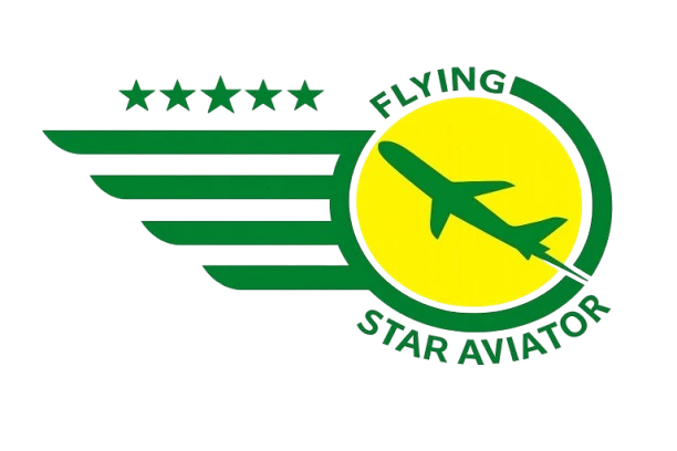 Flying Star Logo